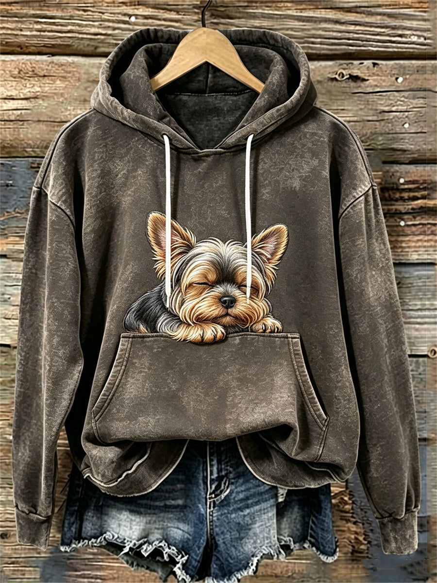 Kvinnors ljuvliga sovande Yorkshire hund Print
